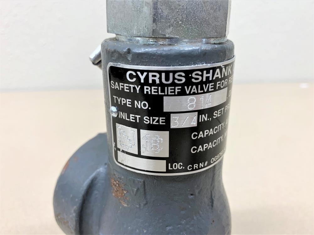 Cyrus Shank 3/4" x -1/4" NPT Safety Relief Valve, Type 814, 300 PSIG